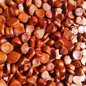 Meet your Posher, Cg